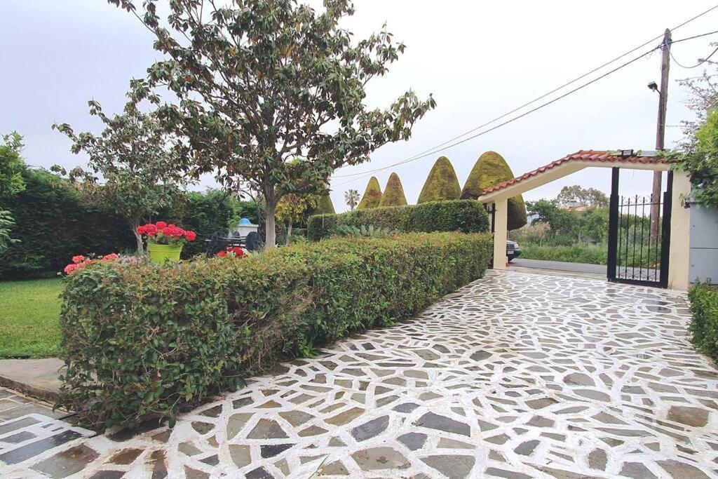 Vacation Studio Oropos Nea Palatia Exterior photo